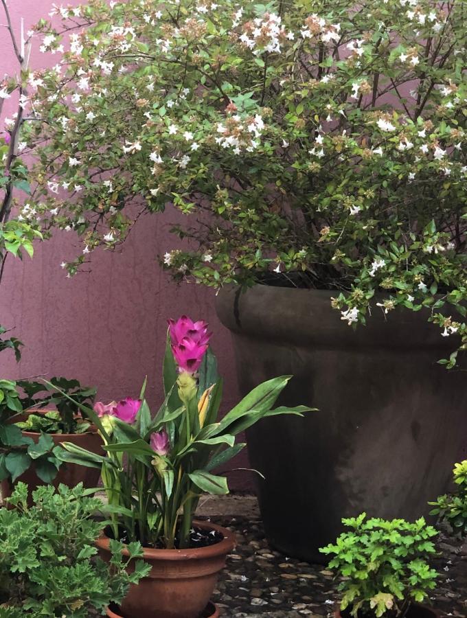 La Posada De Lola เอลโมลาร์ ภายนอก รูปภาพ
